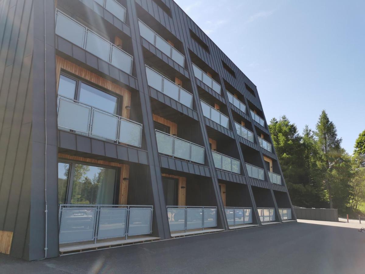 Apartman V Jizerkach 亚诺夫纳德尼索 外观 照片
